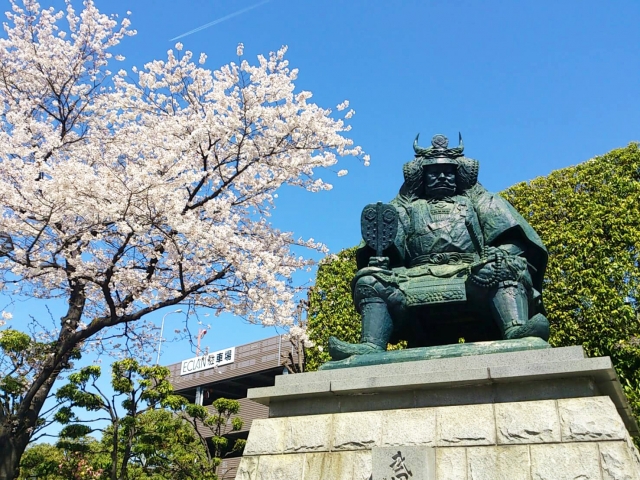 山梨県でおすすめの脱毛サロンランキング